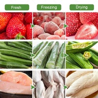 Déshydrateur maison cryogénique Top Press lait maternel de qualité alimentaire lyophilisé séchoir à bonbons mode outil