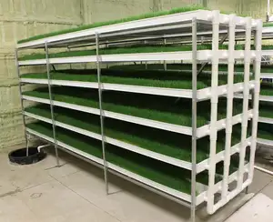 Plastic Hydroponic Microgreens Grow Gutter Fodder Trays System For Greenhouse