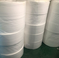 Matériau de frappe en polyester découpé à l'emporte-pièce Type de tissu en organza Revêtement en PES Manchon en feutre souple Cage Aiguille perforée Entoilage matelassé