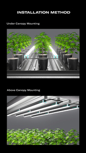 Servicio posventa local de EE. UU. Libre de impuestos 120W R8 Full Spectrum Under Canopy Led Grow Light para cultivo en interiores - Product Image 6