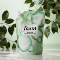 Pochette à bec verseur debout en PE personnalisée, imprimée, 100 ml, 500 ml, pour désinfectant pour les mains, liquide de lavage, recharge d'eau