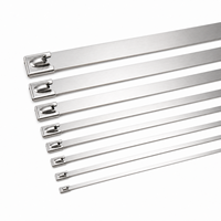Attaches-câbles en acier inoxydable 304 argenté de 4,6 mm x 100 mm pour regroupement industriel (vente en gros)