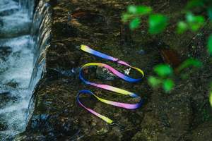 2025 Collier de chien durable avec de nouvelles couleurs de rendu PVC imperméable et anti-corrosion personnalisé et décoré avec des rubans - Product Image 5