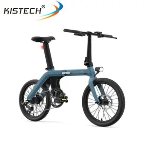 FIIDO D11 20 인치 바퀴 250W 모터 36V 11.6AH 배터리 최대 속도 25km/시간 가변 접이식 전기 자전거