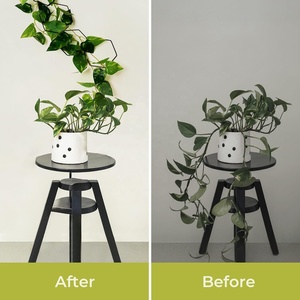 Treillis à chaîne hexagonale en acier au carbone pour <span class=keywords><strong>plantes</strong></span> d'intérieur, <span class=keywords><strong>grille</strong></span> de support pour <span class=keywords><strong>plantes</strong></span> <span class=keywords><strong>grimpantes</strong></span> - Product Image 5