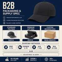 Casquette de performance perforée vierge, ventilation découpée au laser, réglable, pour le sport et la course, broderie de logo personnalisée, OEM, vente en gros, faible MOQ
