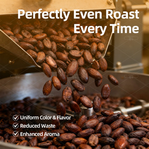 <span class=keywords><strong>Machine</strong></span> de torréfaction industrielle et commerciale LST 30-150 kg pour fèves de cacao, noix, cacahuètes, <span class=keywords><strong>machine</strong></span> de torréfaction de fèves de cacao, <span class=keywords><strong>machine</strong></span> de transformation des fèves de cacao en poudre - Product Image 2