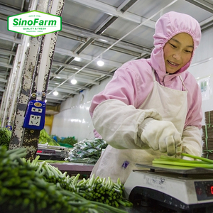 Nouvelle récolte de légumes chinois - Tiges d'<span class=keywords><strong>ail</strong></span> frais / Tiges de pousses d'<span class=keywords><strong>ail</strong></span> vertes - Product Image 3