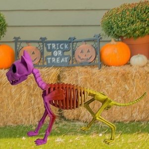 Nuovo Design di Modello di <span class=keywords><strong>Scheletro</strong></span> di Gatto con Colore Sfumato, Decorazione per Halloween - Product Image 3