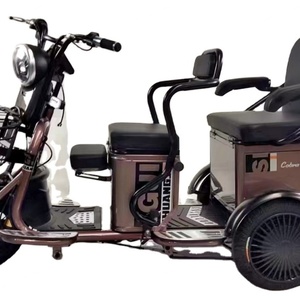 Tricycle électrique motorisé à trois roues avec benne ouverte pour adultes - Product Image 4