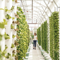 Système hydroponique agricole de haute qualité à 10 étages, tour verticale NFT pour la plantation de légumes, système de tour hydroponique