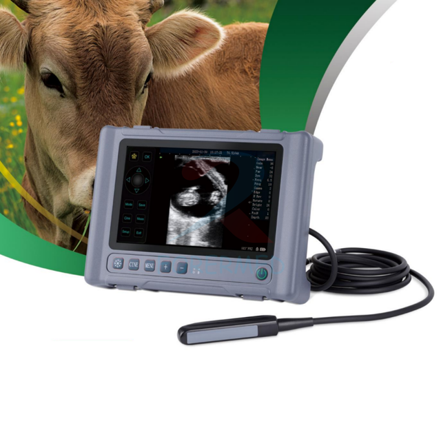Clinic Handheld Veterinary Ultrasound Machine 8 Inch Touch Screen Ultrasound Instruments Portable Vet Ultrasound