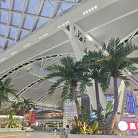 Grand palmier artificiel résistant aux UV, tronc en plastique, style moderne et luxueux, pour mariages, hôtels, aéroports, centres commerciaux, aménagement intérieur et extérieur
