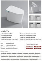 Vente en gros de toilettes intelligentes murales en céramique avec bidet électronique intégré, séchoir, auto-nettoyantes, gain de place, fournisseur pour projets hôteliers