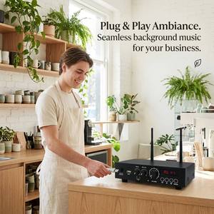 Amplificateur de classe D 2 canaux TL-3030, système <span class=keywords><strong>audio</strong></span> stéréo domestique, haut-parleur basse sans fil, récepteur émetteur <span class=keywords><strong>HiFi</strong></span> - Product Image 6