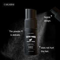 Volume Poudre Private Label Matte Fluffy Texture Style Poudre Oil-control Hair Style Poudre pour Hommes Femmes