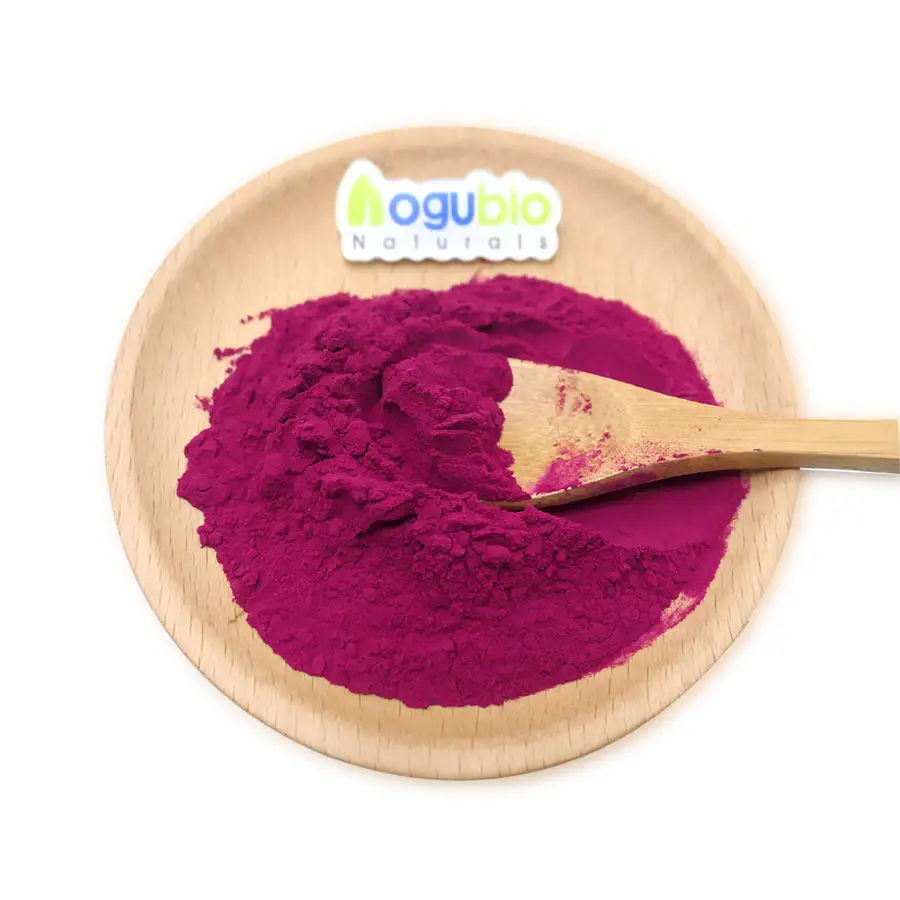 Tinh khiết tự nhiên beetroot chiết xuất khô củ cải đỏ chiết xuất từ rễ bột