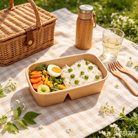 Conteneur à lunch en kraft à double compartiment, revêtement PE écologique, compostable, biodégradable, bol jetable, impression personnalisée du logo disponible