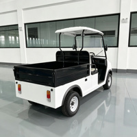Chariot de transport électrique pour hôtel avec caisse de chargement, 2 places, pour le transport de bagages et de linge