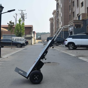 Carro <span class=keywords><strong>de</strong></span> Transporte con Plataforma, 225 kg, Eléctrico, para Subir Escaleras, <span class=keywords><strong>de</strong></span> Acero, Personalizado OEM, <span class=keywords><strong>de</strong></span> Alta Resistencia, para Almacenes - Product Image 1