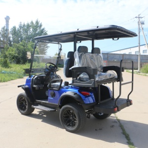 Carrito de Golf Eléctrico de Nueva Energía con la Mejor Relación Calidad-Precio, Configuración Básica, Buggy Económico - Product Image 4