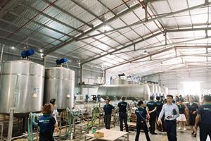 Cápsulas de Detergente para Ropa Antibacterianas Ecológicas de 10 Gramos, Venta al por Mayor de Fábrica, 50%-80% de Ingredientes Activos, Limpieza Fuerte - Product Image 6