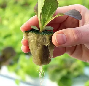 Iscozinha bloco de lã de pedra, greenhouse para propagação de plantas, lã de pedra, 4x4x4