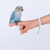 Laisse de vol pour perroquet, en plastique solide avec rivets, corde en latex élastique, fermoir métallique, anti-évasion, dégagement rapide, mains libres, 200 cm, 300 cm, enroulable