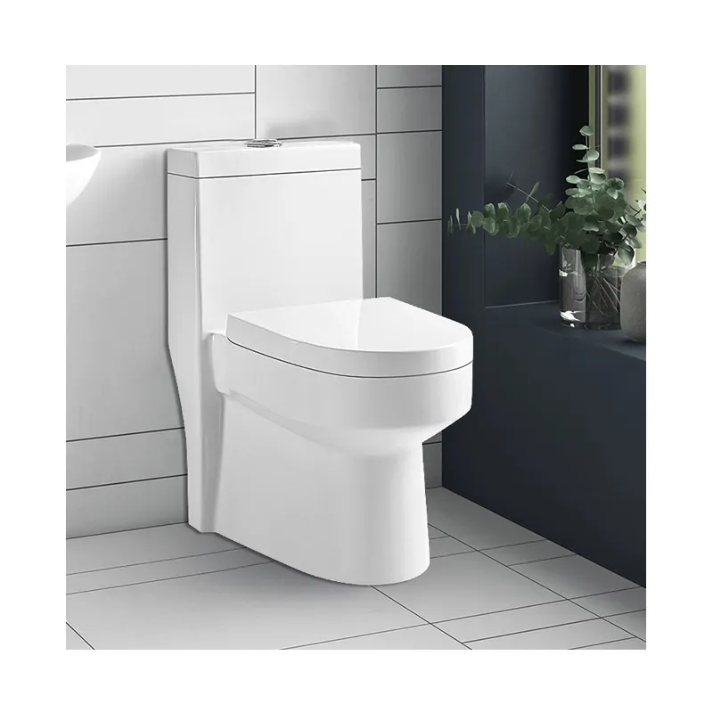 Ceramic Supplier Luxury Sanitary Ware wc Dual Flush Siphon Flush S-trap Toilet Set Bathroom One Piece Toilet