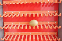 Cage à poules automatique de type H à 4 niveaux, système de cage à poules entièrement automatique