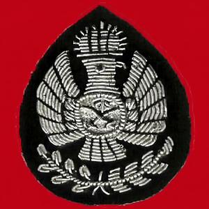 Insignia Bordada Personalizada GERMAN EAGLE-659 con Ancla y Corona de Laurel, Parche de Tela Cosido para Uniforme - Product Image 1