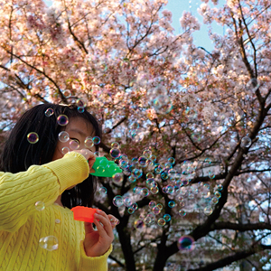 Solution de savon liquide rechargeable pour bulles d'eau, jouets aquatiques pour enfants, pour l'extérieur, fabriquée au Japon - Product Image 3