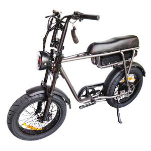 T6 वयस्क इलेक्ट्रिक बाइक 750w 48v 12.5a 25 किमी/घंटा पूर्ण निलंबन फोर्क इलेक्ट्रिक मोटरसाइकिल 20*4.0 - Product Image 1