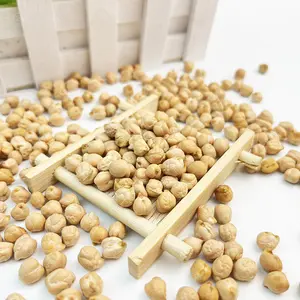 High Quality Supply Chickpeas Wholesales Bulk Price From China White Chick Pea / Dried Chickpea