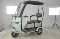 Vente directe d'usine Tricycle électrique à bas prix Nouvelle énergie Nouveau tricycle compact cyclomoteur à 3 roues avec auvent de toit Vente chaude