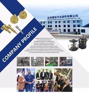 Động cơ nhiệt nhiệt độ nhiệt độ tự động điều chỉnh nhiệt độ cho ISUZU npr75 8973007891 8973007902 - Product Image 6