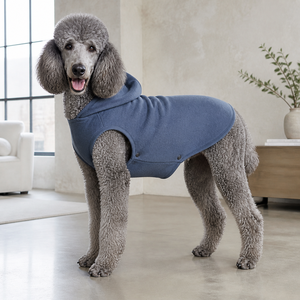 Sweat à capuche pour chien en polaire, manteau d'hiver uni, confortable, vêtements de loisirs pour chiens - Product Image 1