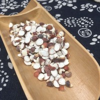 Qian Shi Vente en gros de fruits de Gorgone naturels et traditionnels, en vrac, à bon prix, Semen Euryales naturel