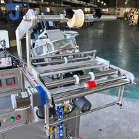 Machine d'emballage alimentaire multifonction automatique pour sachets de boissons, herbes, café, soja, curry, épices, lait, cannelle, poudre protéinée