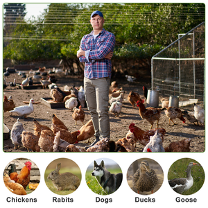 กรงสัตว์ปีก,บ้านไก่สำหรับสุนัขพันธุ์ทันสมัยทำจากโลหะ - Product Image 6