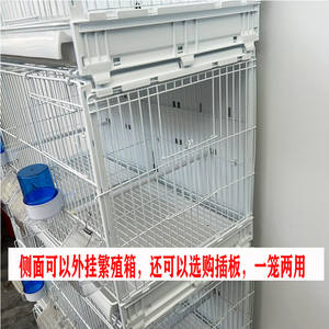 Toptan Yeni Model Metal Kuş Üretim Kafesleri Kanarya, Altın İspinoz, Gri Serçe ve Büyük Altın Sarısı Hibiscus Kuşları için - Product Image 4