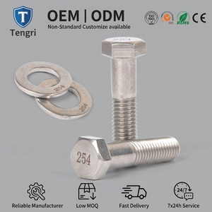 Sujetadores SMO254 de acero inoxidable UNS 31254, tornillos y tuercas de cabeza hexagonal pesada, estructura - Product Image 1