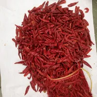 Aromatique poudre de chili gochugaru pour plus de goût - Alibaba.com
