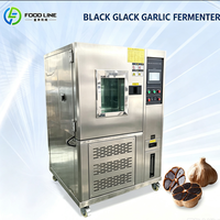 Machine de Fermentation d'Ail Noir Intelligente PLC avec Écran Tactile – Fermenteur d'Ail Noir pour Usage Industriel