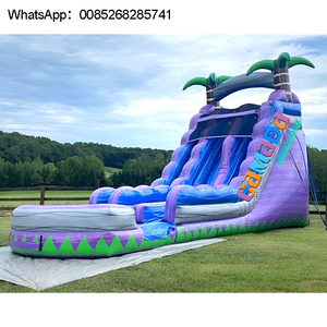 Toboggans Water With Jump Glissière gonflable commerciale pour château de fête pour enfants - Product Image 2