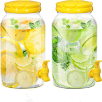 Distributeur de boissons en plastique PET de 1 gallon (0,66 gallon) pour eau potable directe, idéal pour les fêtes, le camping et les activités de plein air