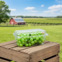 Barquette en plastique PET recyclable pour tomates, fruits rouges et cerises, 250g