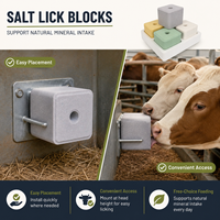 Granulés blancs de NaCl à 99,9 % de teneur active, additif alimentaire pour la santé animale, sel pour le bétail