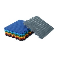 Terrain de basket de 25X12Foot avec tapis de sol imbriqué pour cour d'arrière-cour d'école