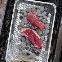Barbecue jetable pour BBQ, pour fête en plein air, grill au charbon de bois, pièces